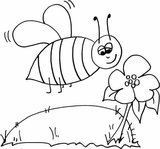 Albină drăguță și floare