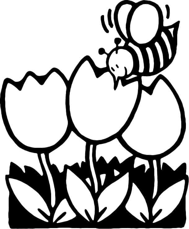 Albină simplă și flori