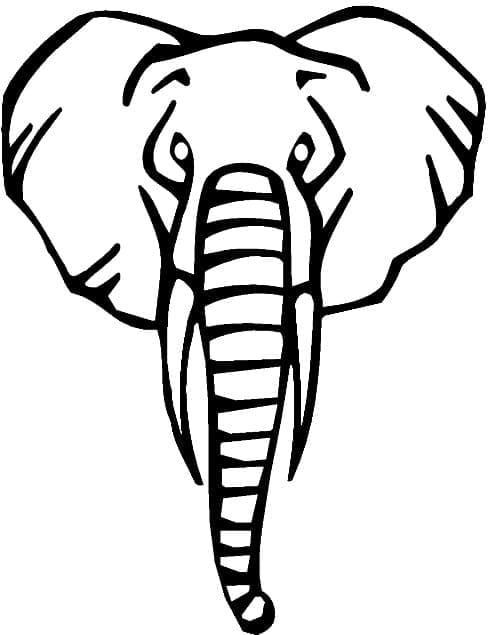 Cap de elefant