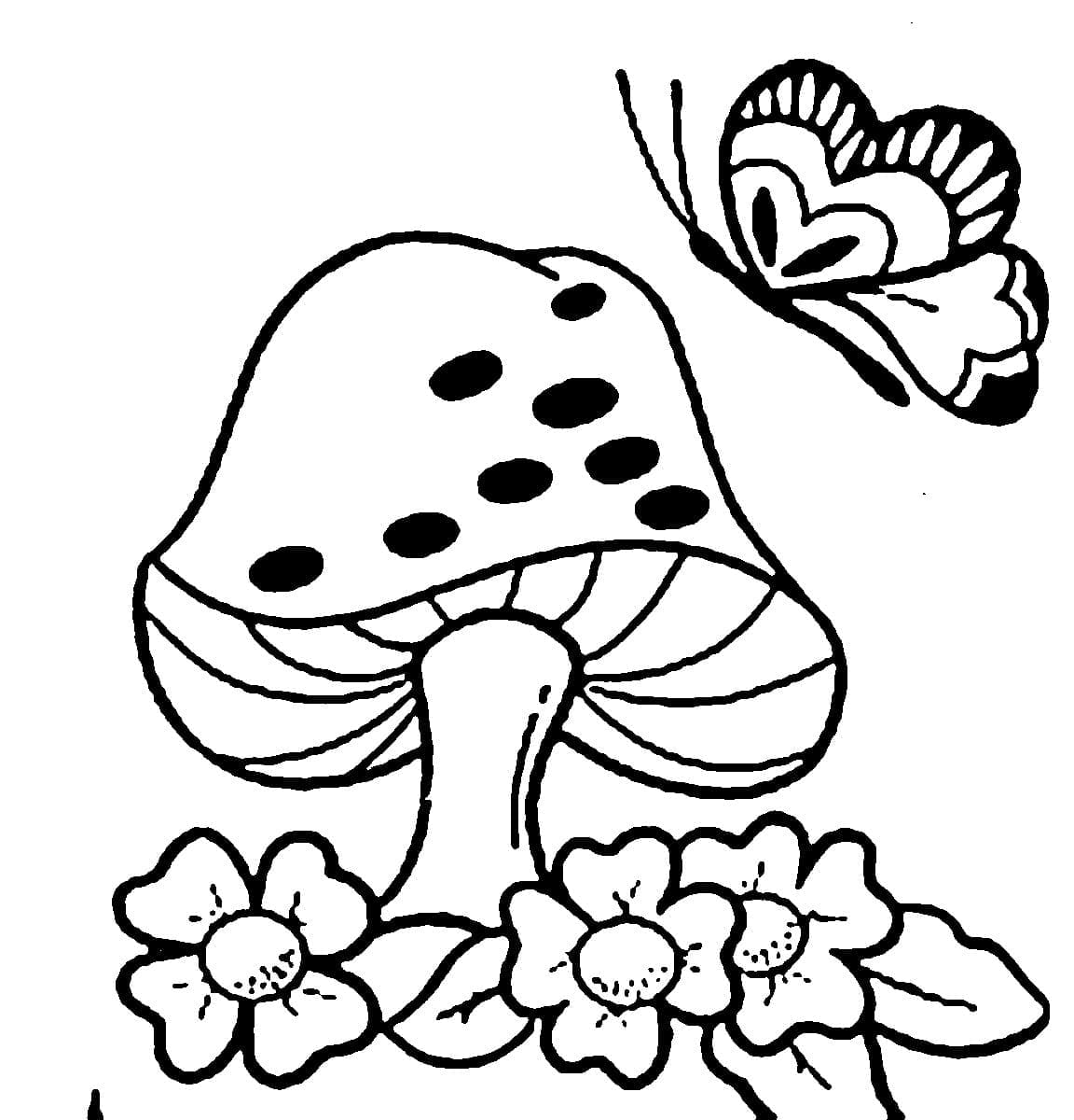 Ciupercă și fluture