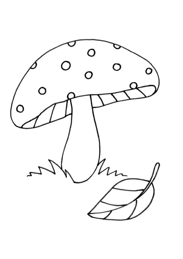 Ciupercă și o frunză