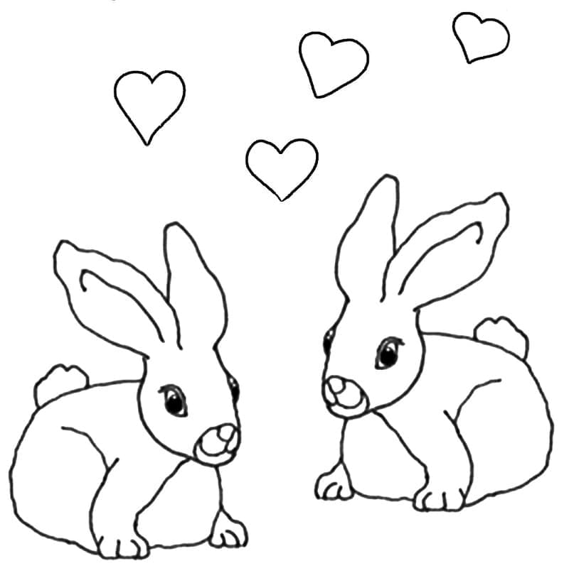 Cuplu de iepuri