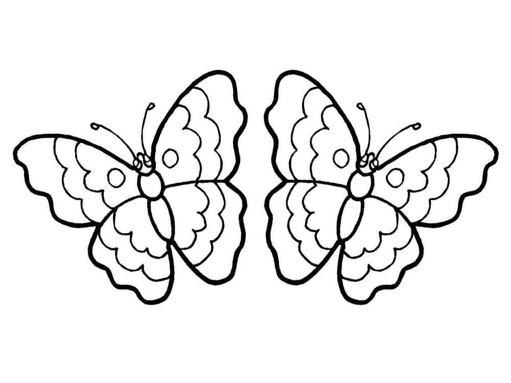 Doi fluturi drăguți