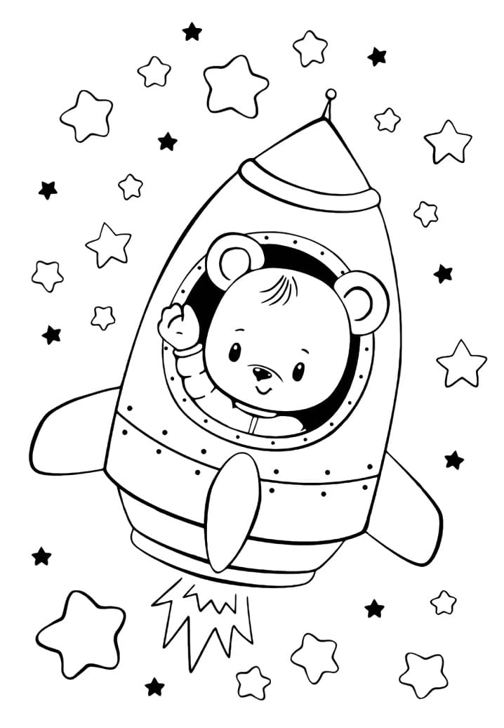 Drăguț urs în rachetă