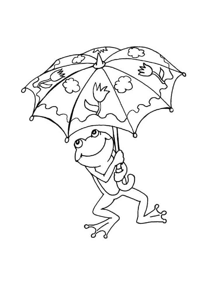 Drăguță broască cu umbrelă