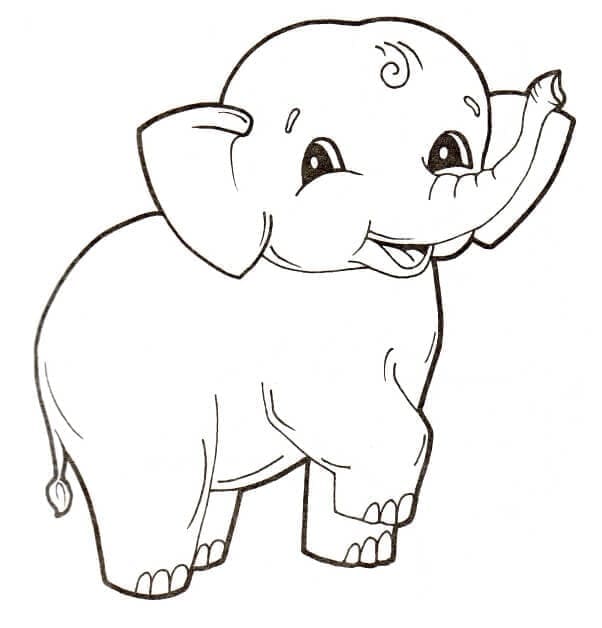 Elefant adorabil