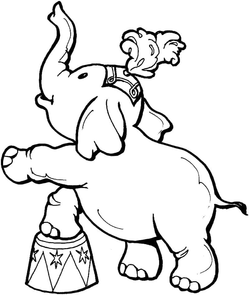 Elefant drăguț de circ