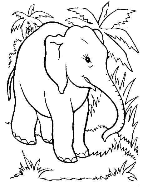 Elefant în junglă