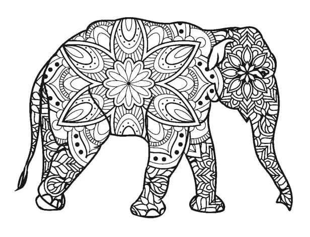 Elefant minunat pentru adulți