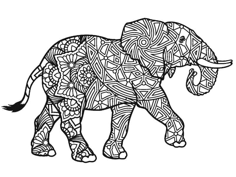 Elefant pentru adulți