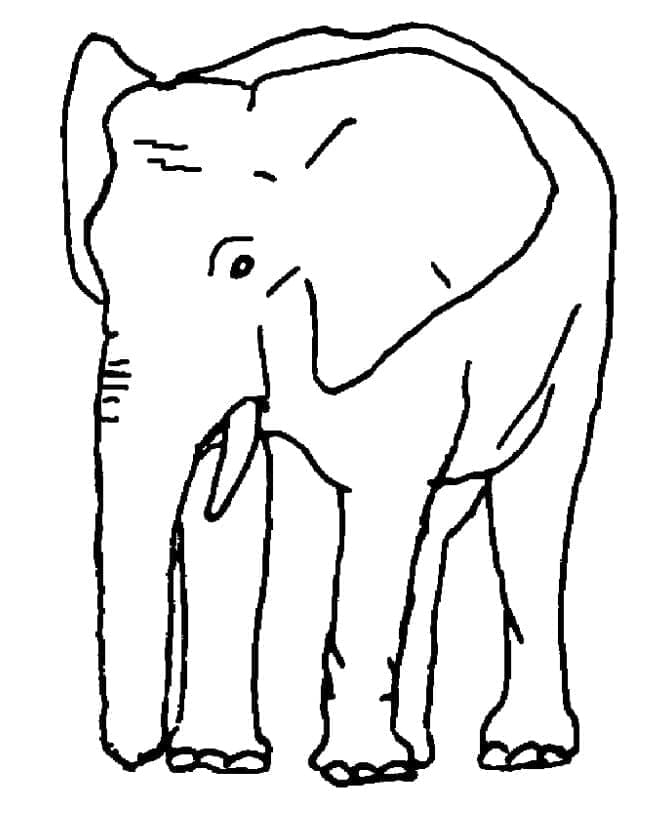 Elefant pentru copii