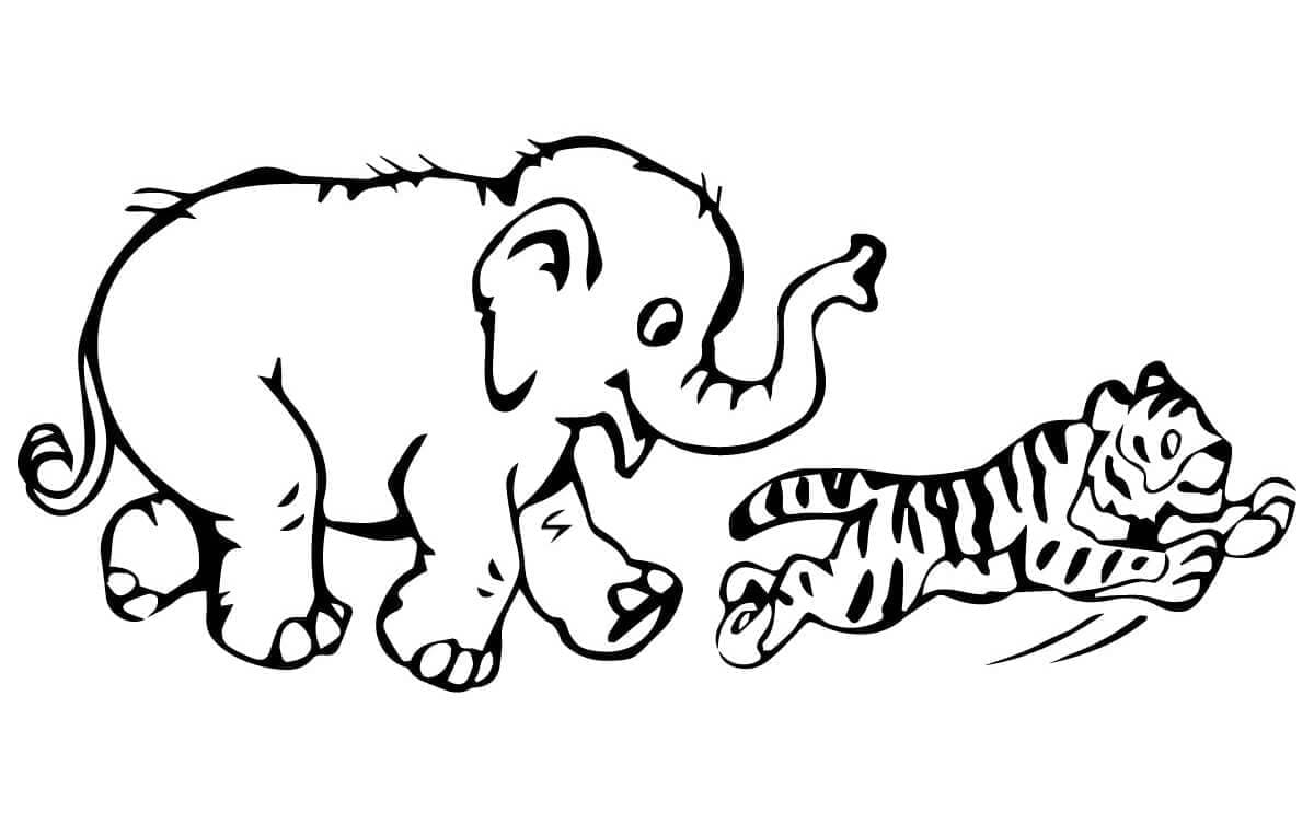 Elefant și tigru