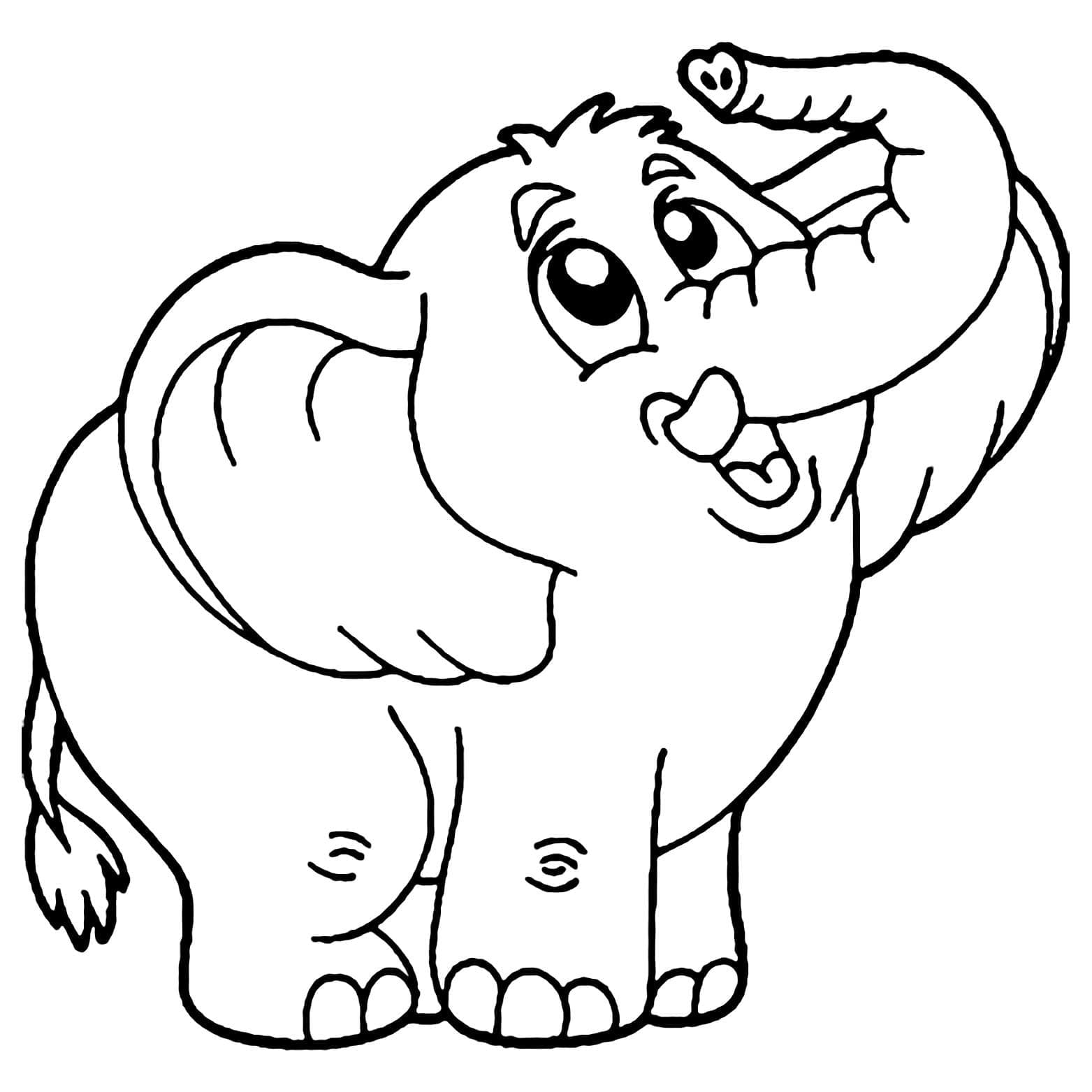 Elefant vesel