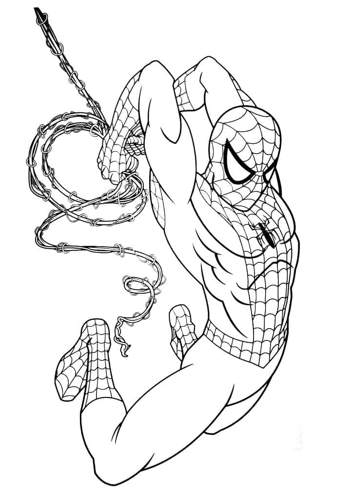 Eroul Marvel Spider Man