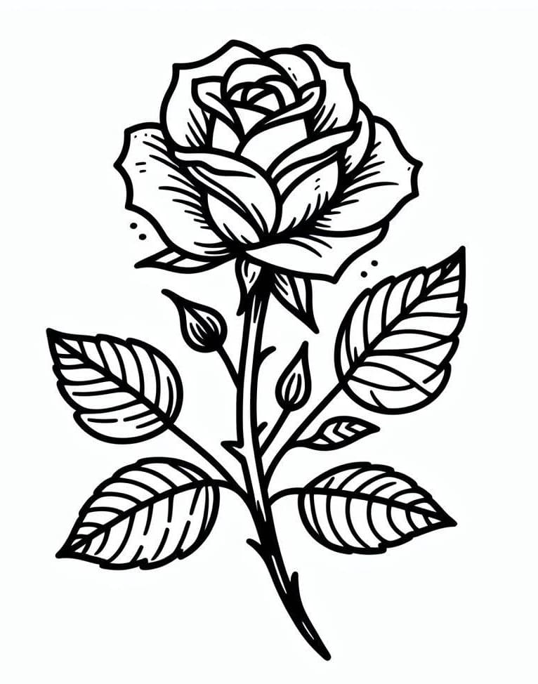 Floare de trandafir de bază