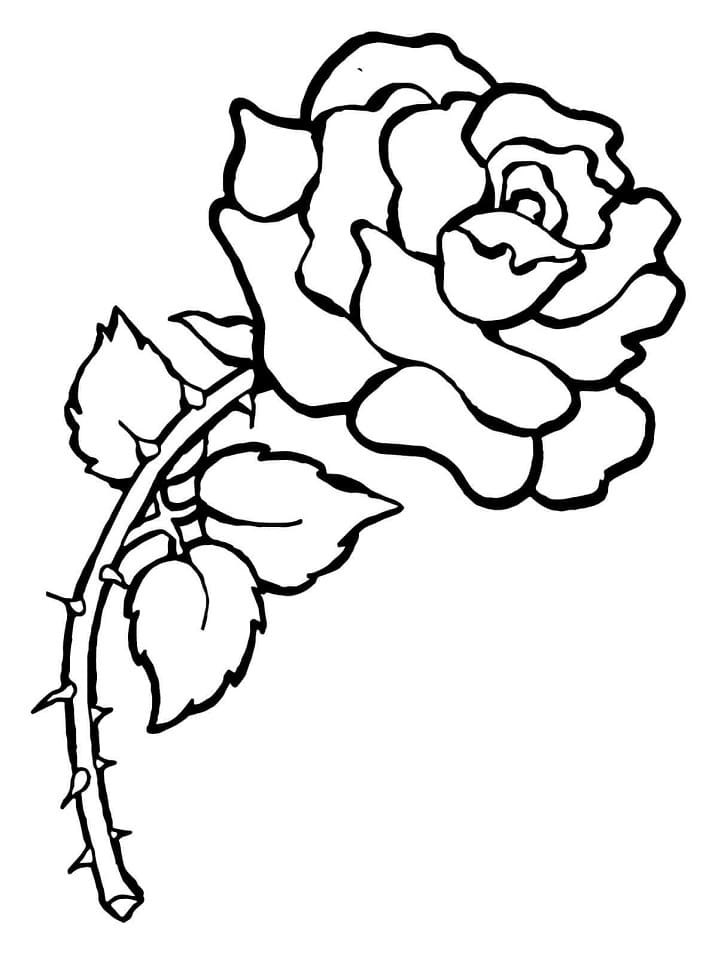Floare de trandafir imprimabil gratuit