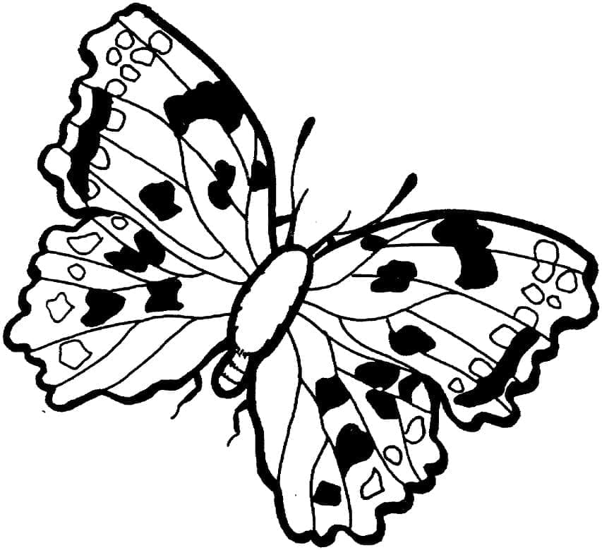 Fluture imprimabil