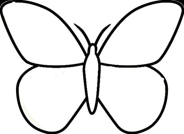 Fluture p6