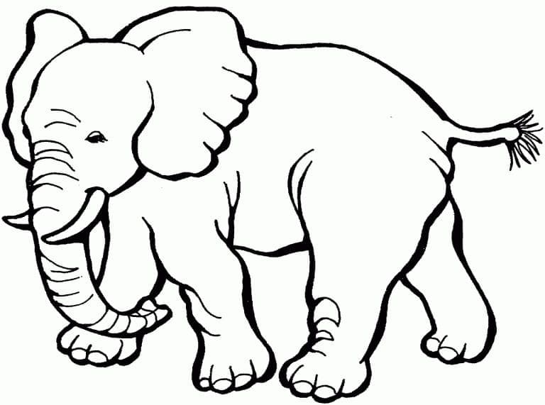 Imaginea elefantului