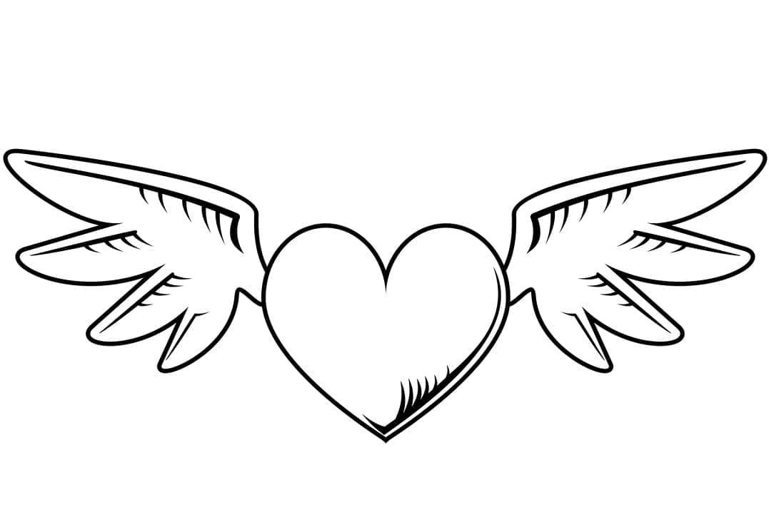 Inimă și aripi