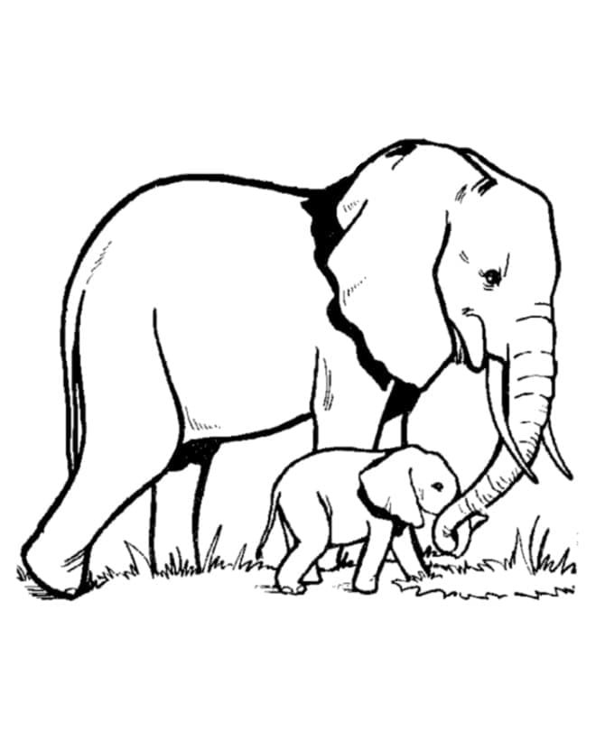 Mama și puiul de elefant