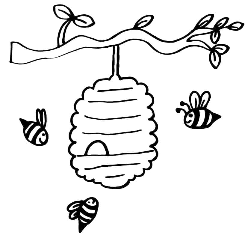 Multe albine și stup