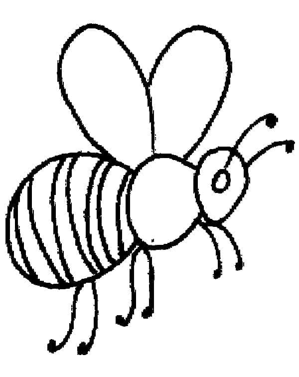 O albină foarte simplă
