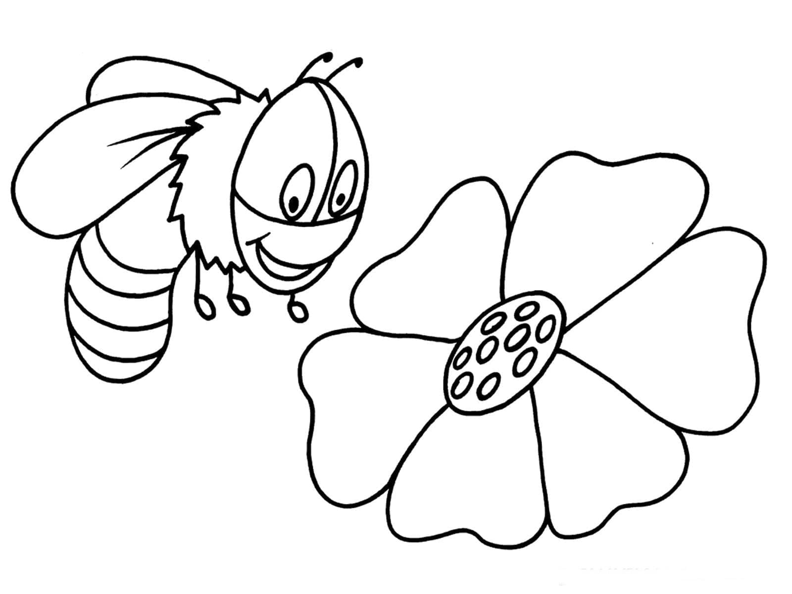 O albină și o floare