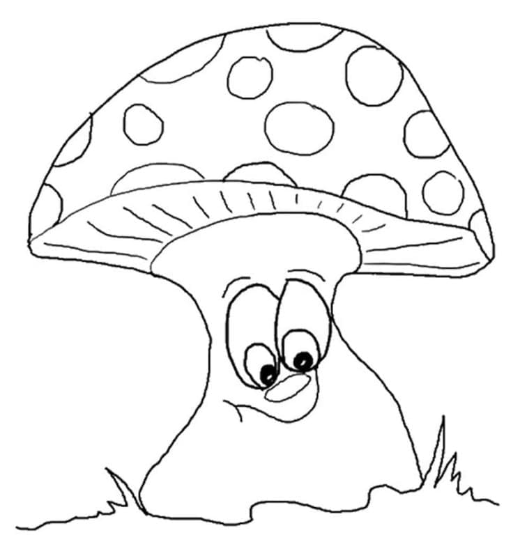 O ciupercă foarte amuzantă