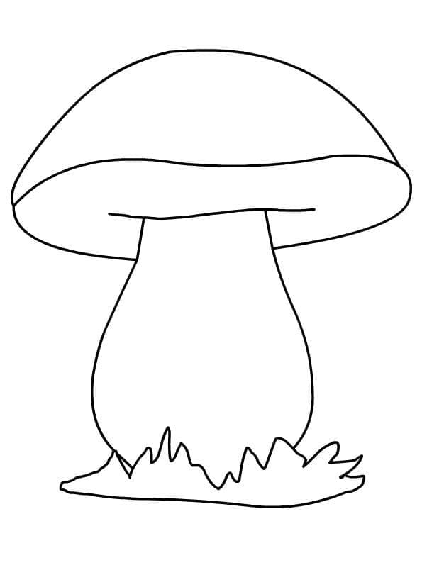 O ciupercă foarte simplă