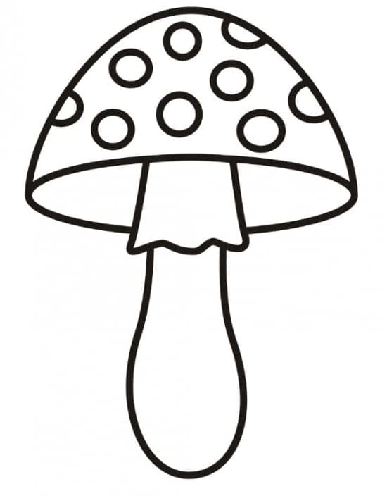 O ciupercă simplă