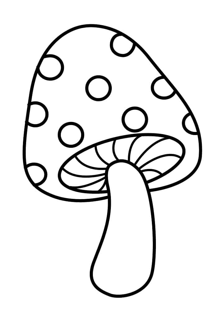O ciupercă