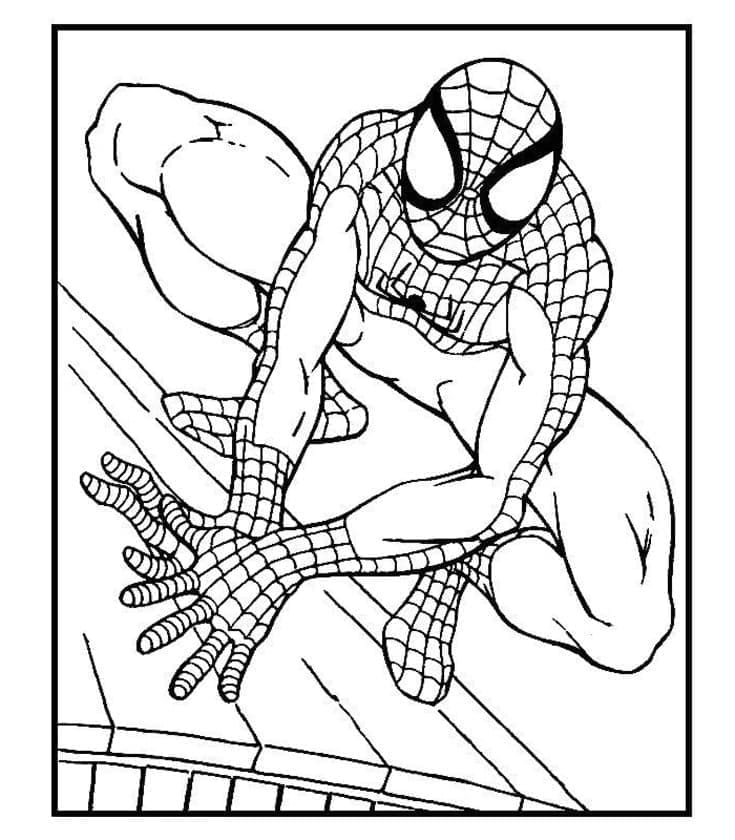 Om Păianjen Spider-Man