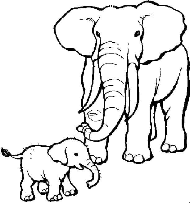 Pui și mama elefant