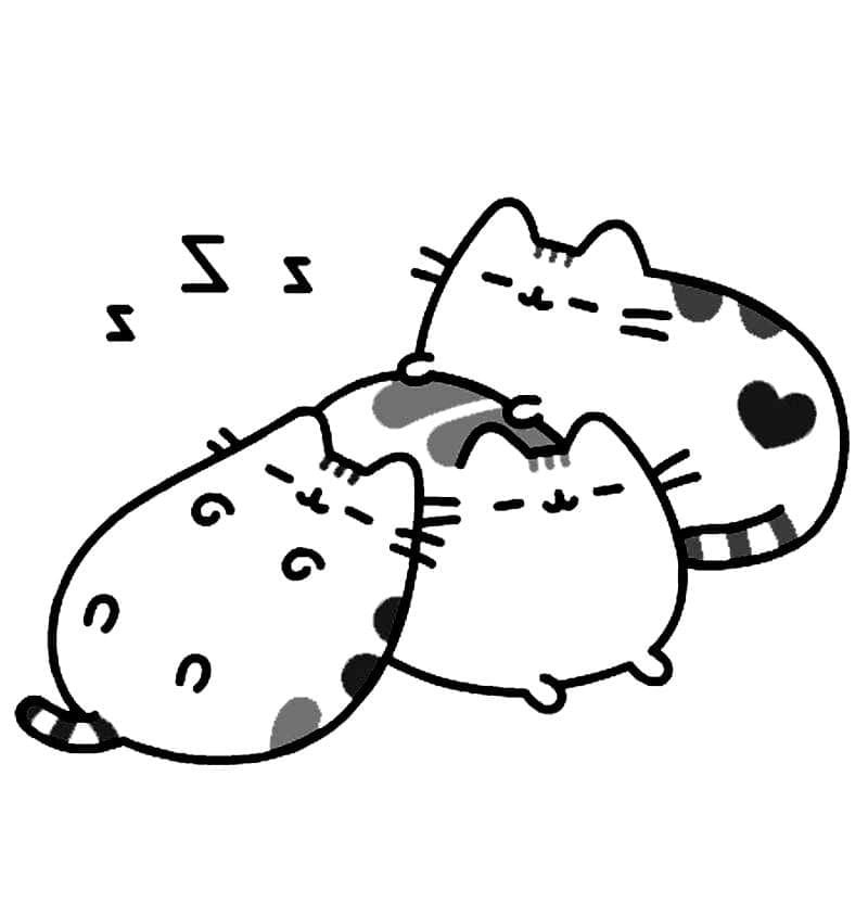 Pusheen doarme