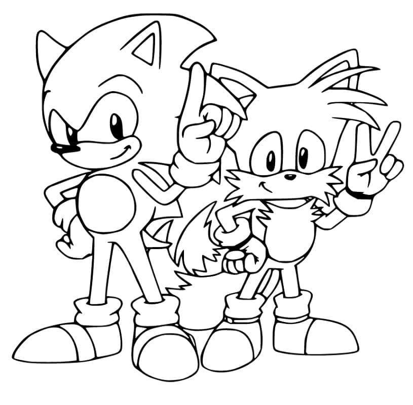 Sonic și prietenul Tails