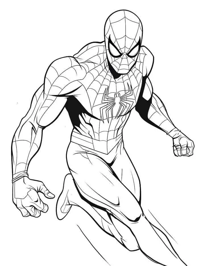 Fise de Colorat cu Spiderman de colorat p07
