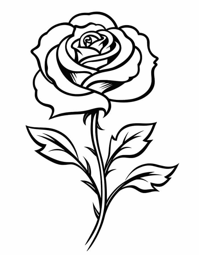 Fise de Colorat cu Trandafir de colorat p04
