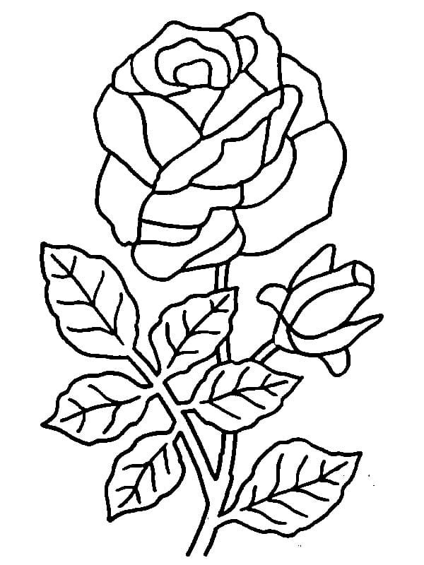 Trandafir imprimabil pentru copii