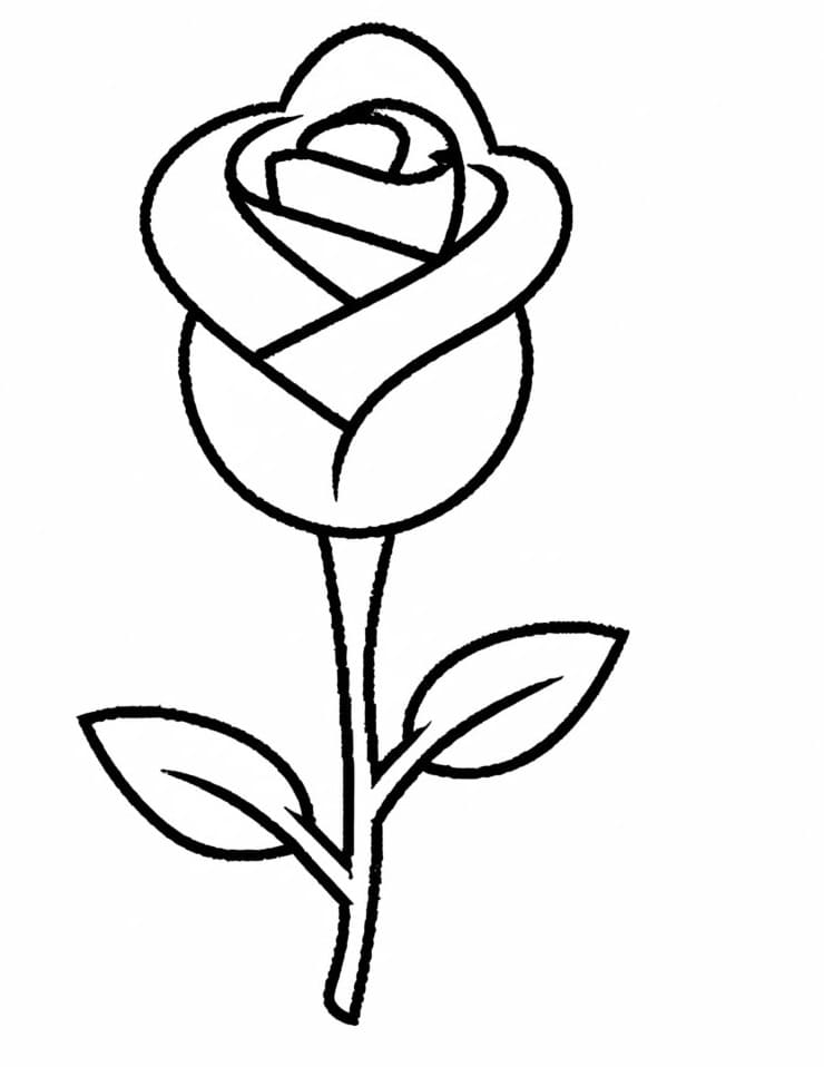 Trandafir ușor