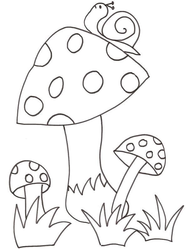 Trei ciuperci și melc