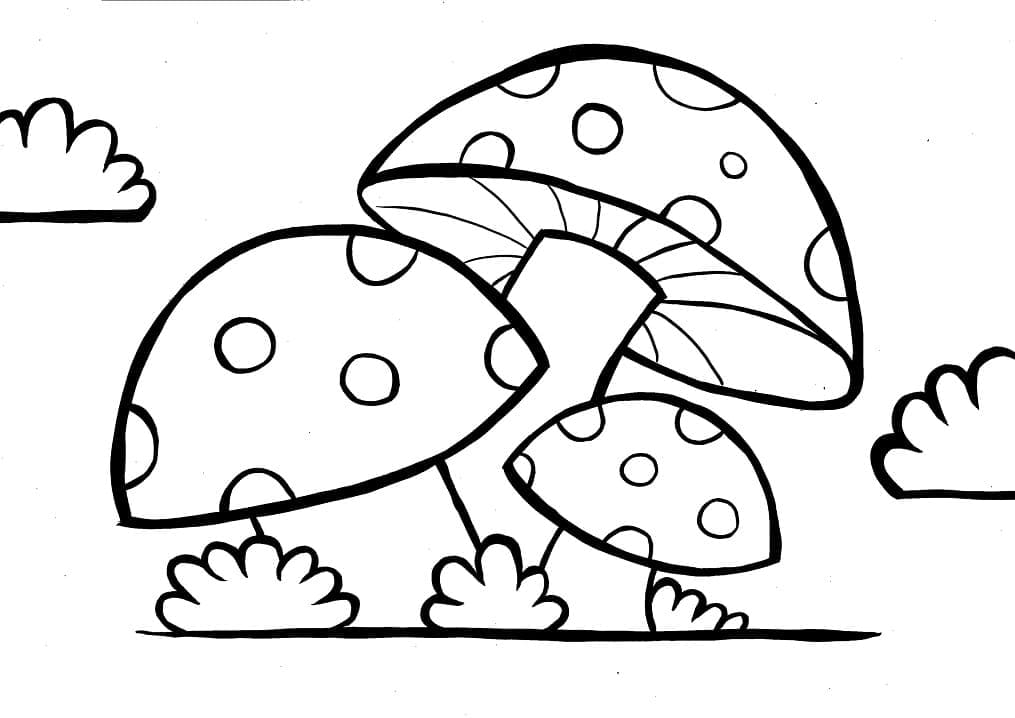 Trei ciuperci