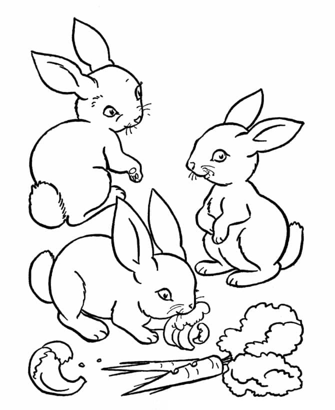Trei iepuri mănâncă morcovi