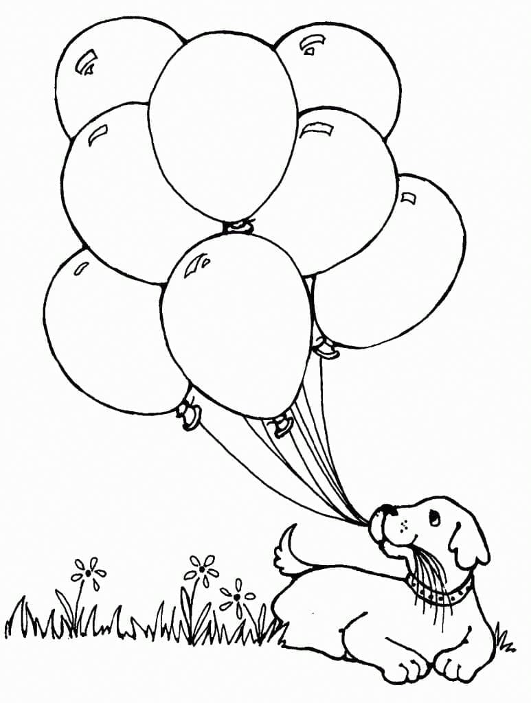 Un câine cu baloane