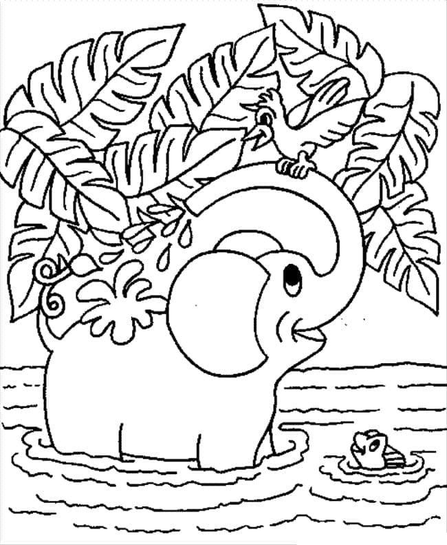 Un elefant fericit