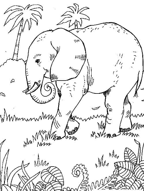 Un elefant în junglă