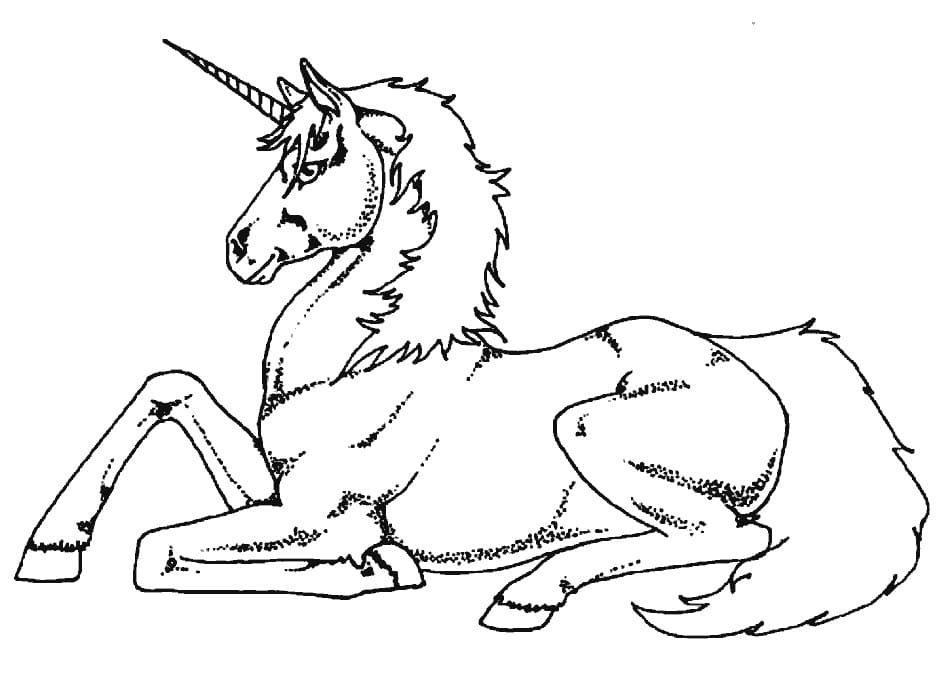 Unicorn adult