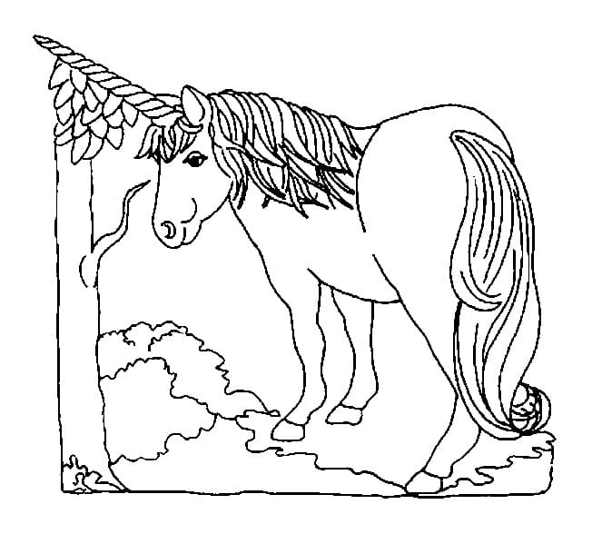 Unicorn cu corn lung
