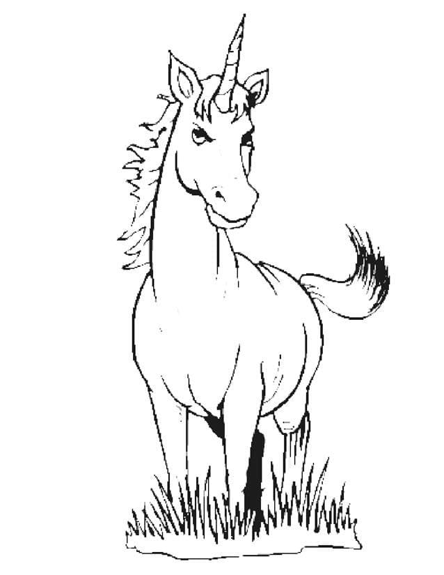Unicorn pe iarbă
