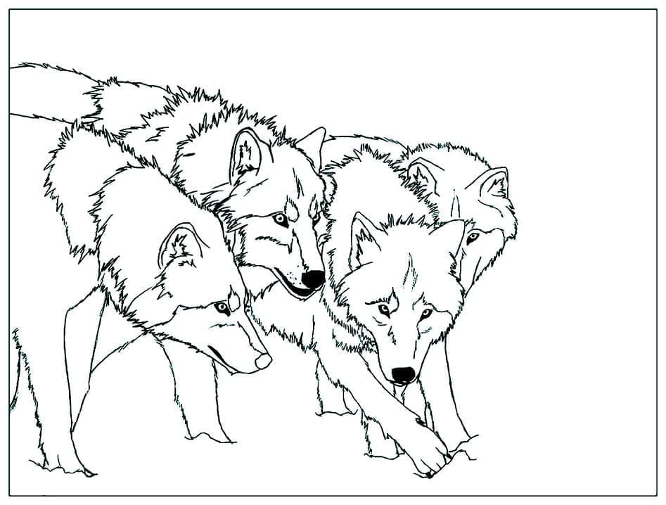 Wolves